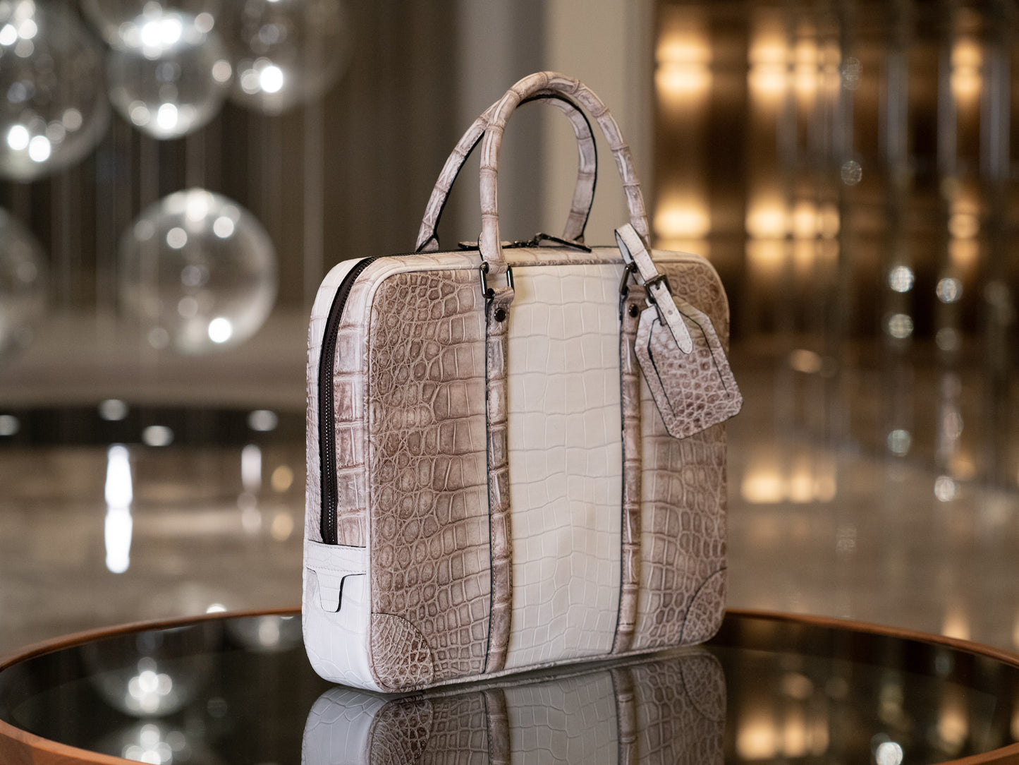 THE HIMARAYAN BRIEFCASE