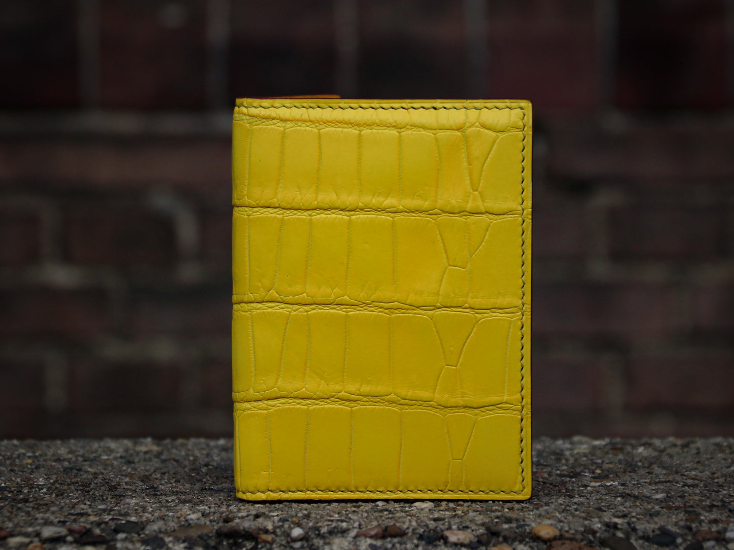 THE CARD CASE “ Pika ”